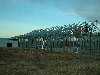 album1006004.jpg